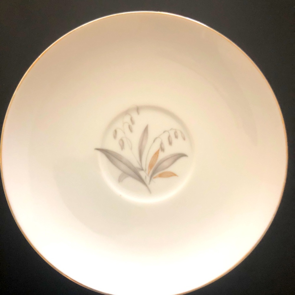 Saucer - Golden Rhapsody